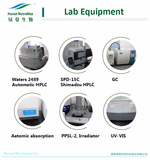 Fruchtextrakt Blaubeersaftpulver Blaubeersaftkonzentrat